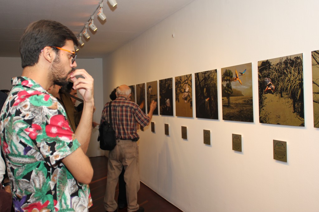 Media Art: Ecology from Digital Art