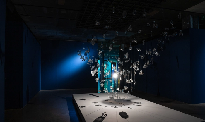 Exhibitions