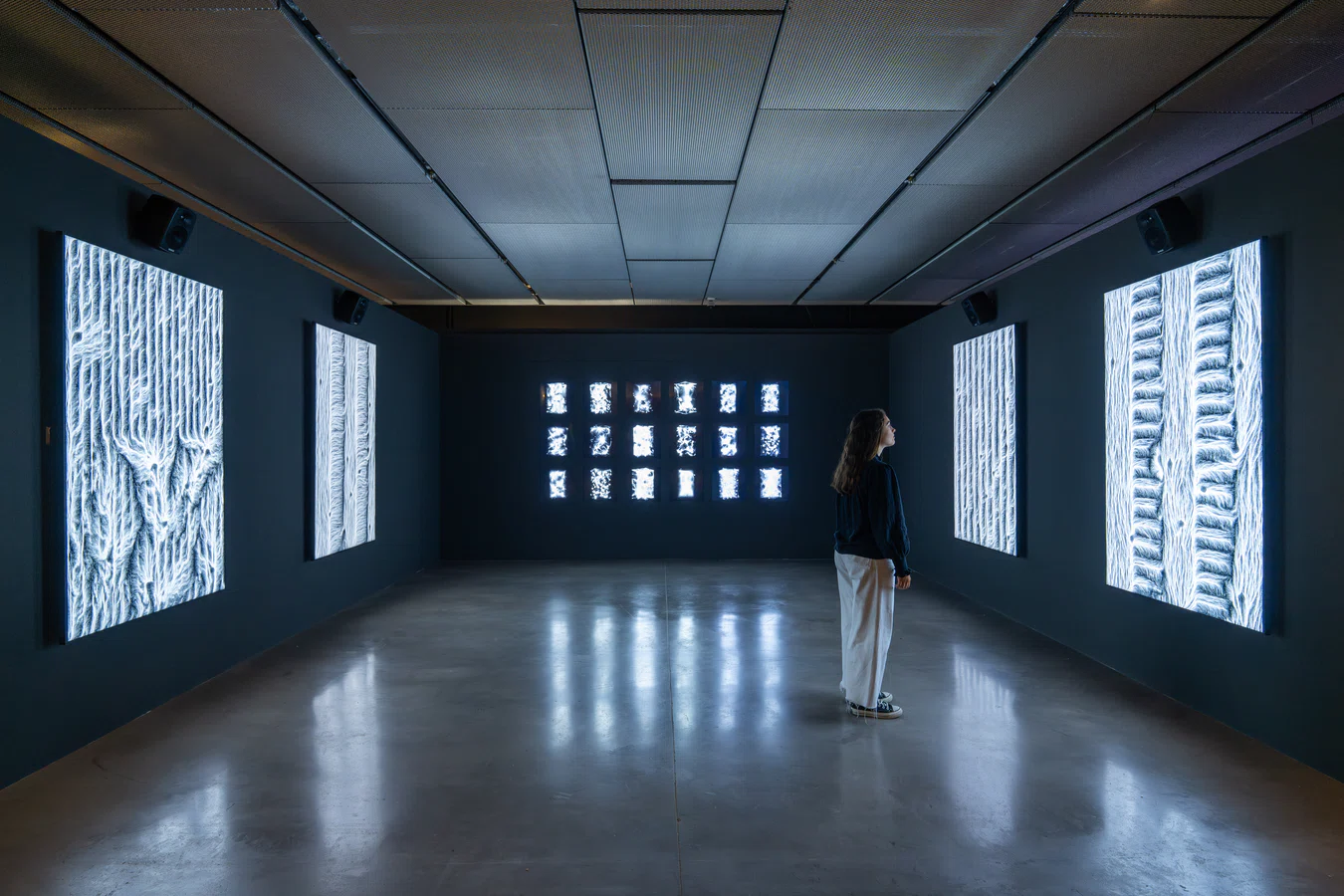 Image showing one of the works featured in the exhibition ‘The Quantum Revolution’ at Espacio Fundación Telefónica