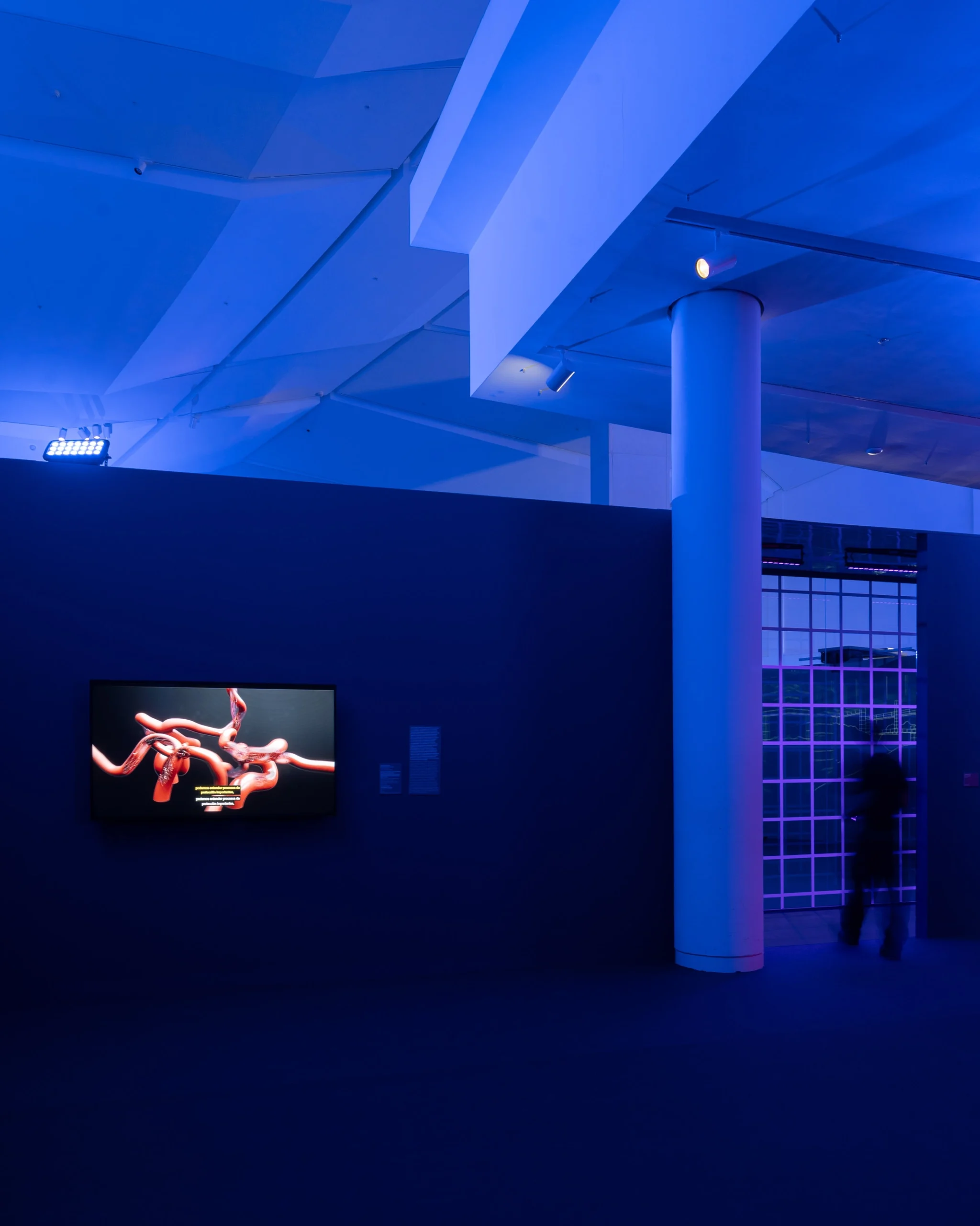 Exhibition view from the traveling exhibition 'Expanded World: Between the Physical and the Virtual'